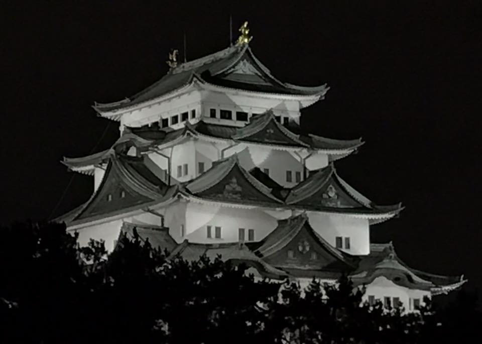名古屋城を眺めて