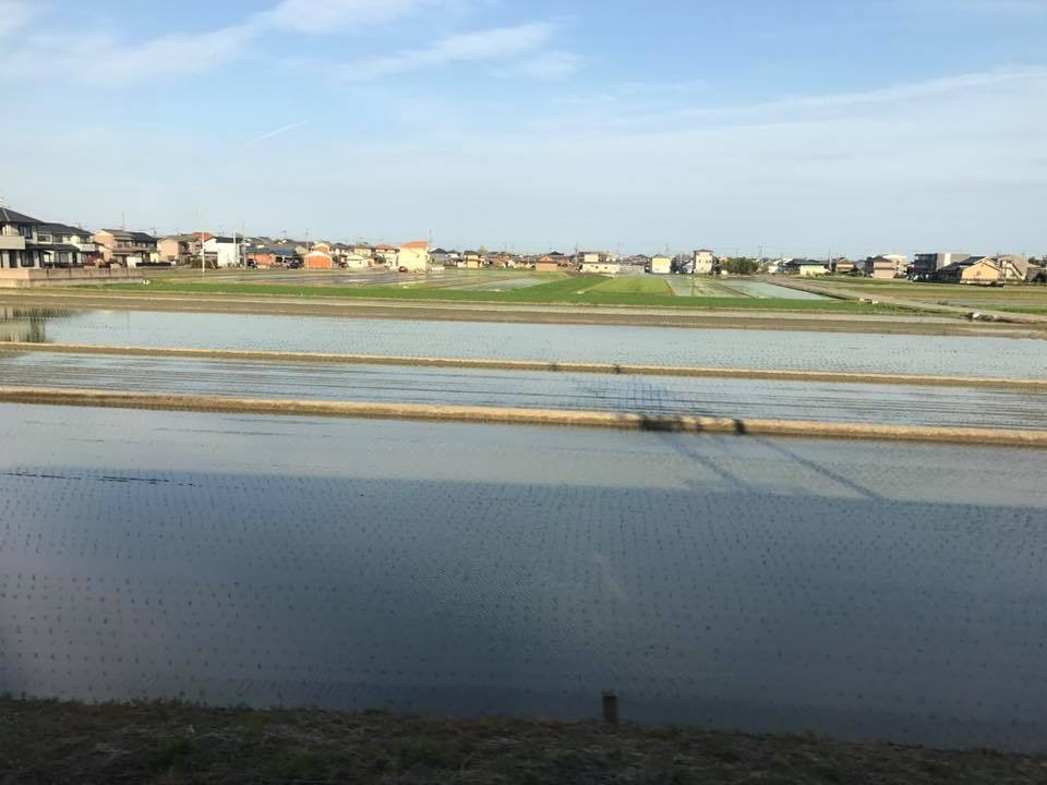 津〜四日市間で、ふと車窓から外を眺めると、ちょうど田んぼの水を張るシーズン。