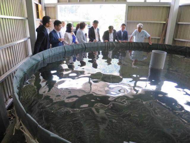 豊根村で豊富な水資源を活かし産地化を進めるチョウザメの養殖場へ