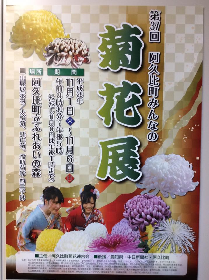 11月に阿久比で開催される菊花展楽しみです