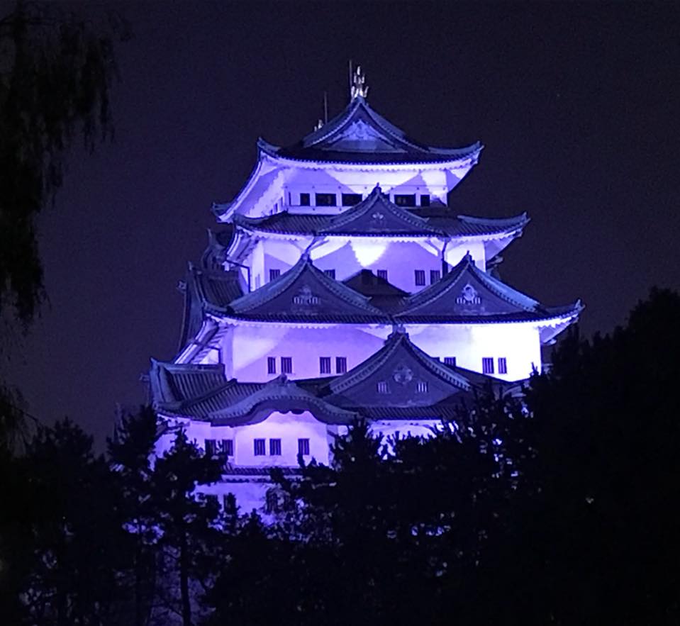 11月14日夜、名古屋に。 堅固な城をここ愛知に、と誓う。