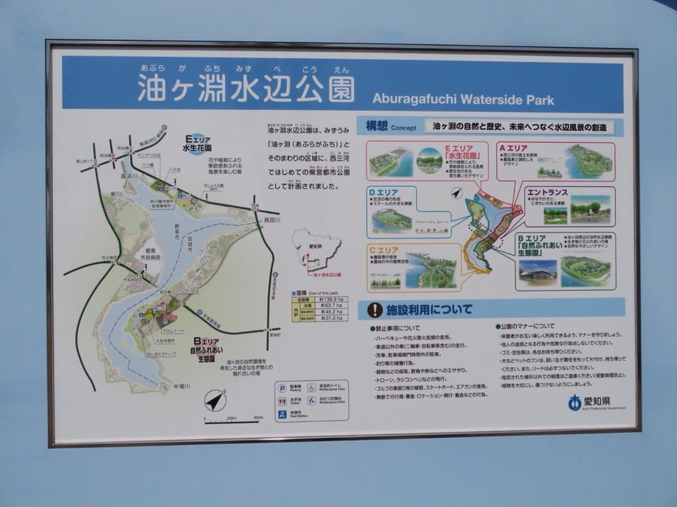愛知県碧南市・安城市にまたがる県立油ヶ淵水辺公園開園記念式典に