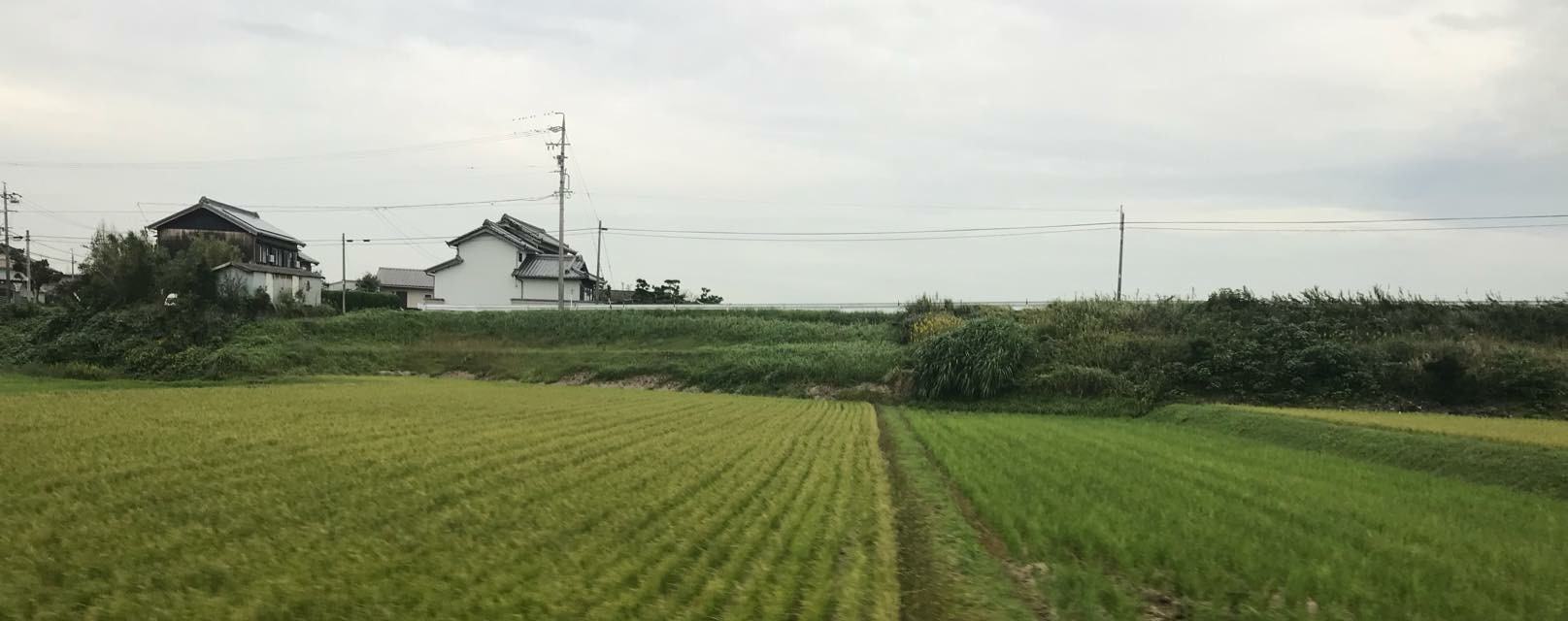 愛知県知多郡武豊町の「わっぱ知多共同事業所」の「わっぱ知多農場」の農場と製粉場に