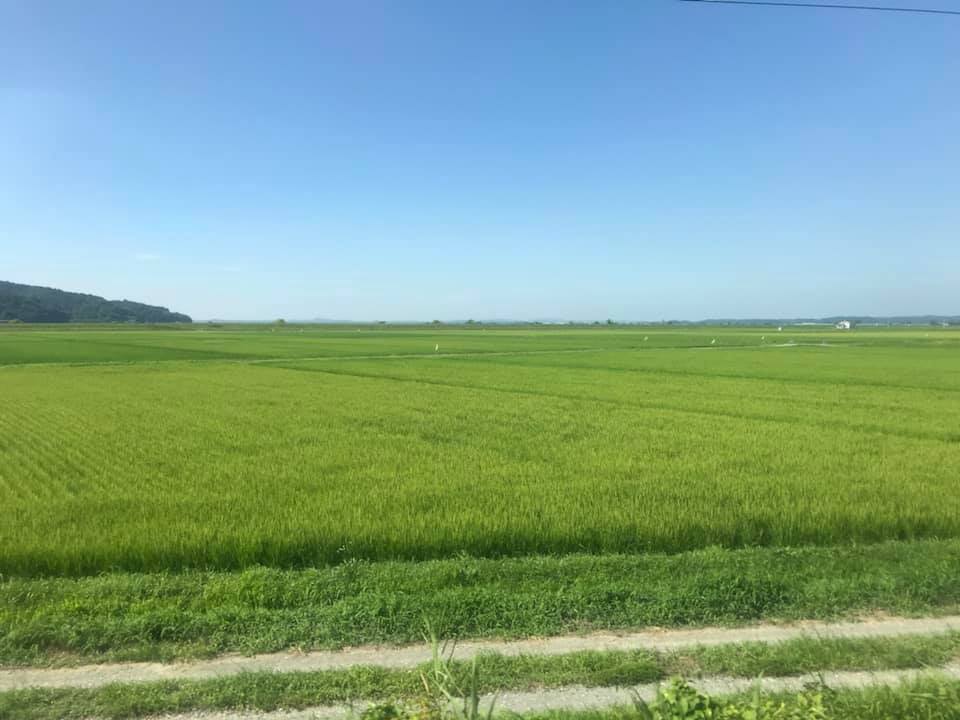 宮城県南三陸町志津川は青と緑の世界が広がっています