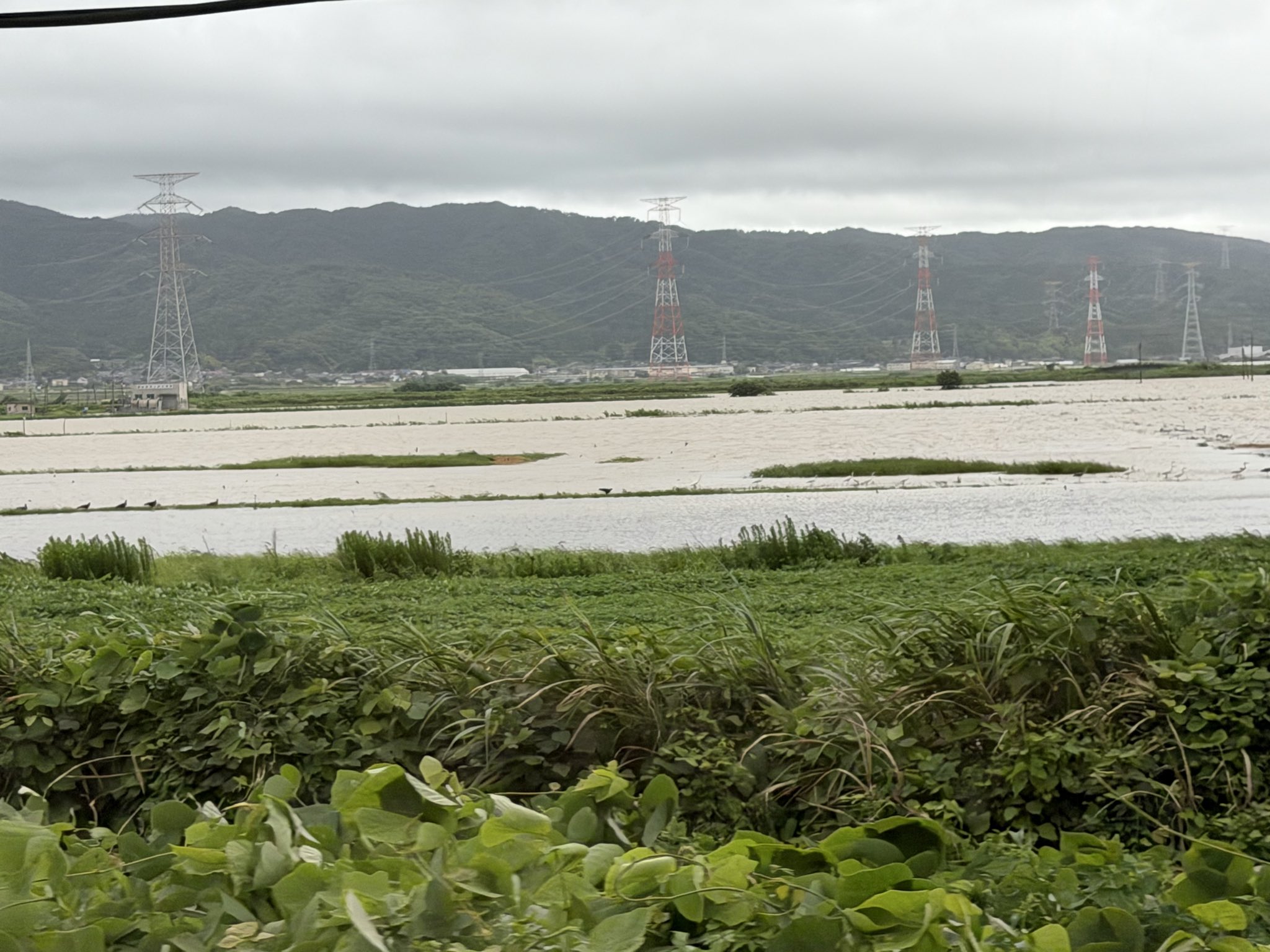 今回の大雨で水田が水に浸かって、米の収穫期を前に大きな被害を受けており、その補償等の支援がこれからの課題です