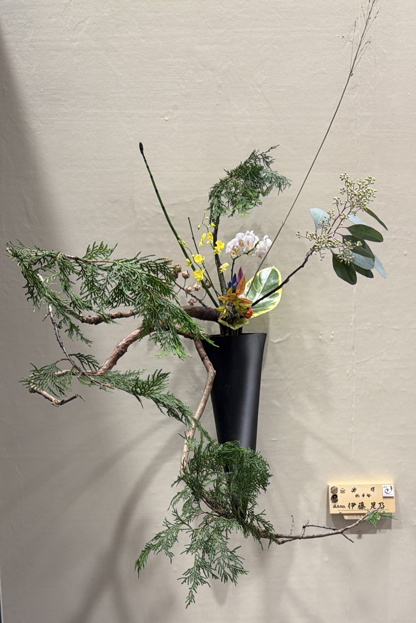 池坊・花展へ