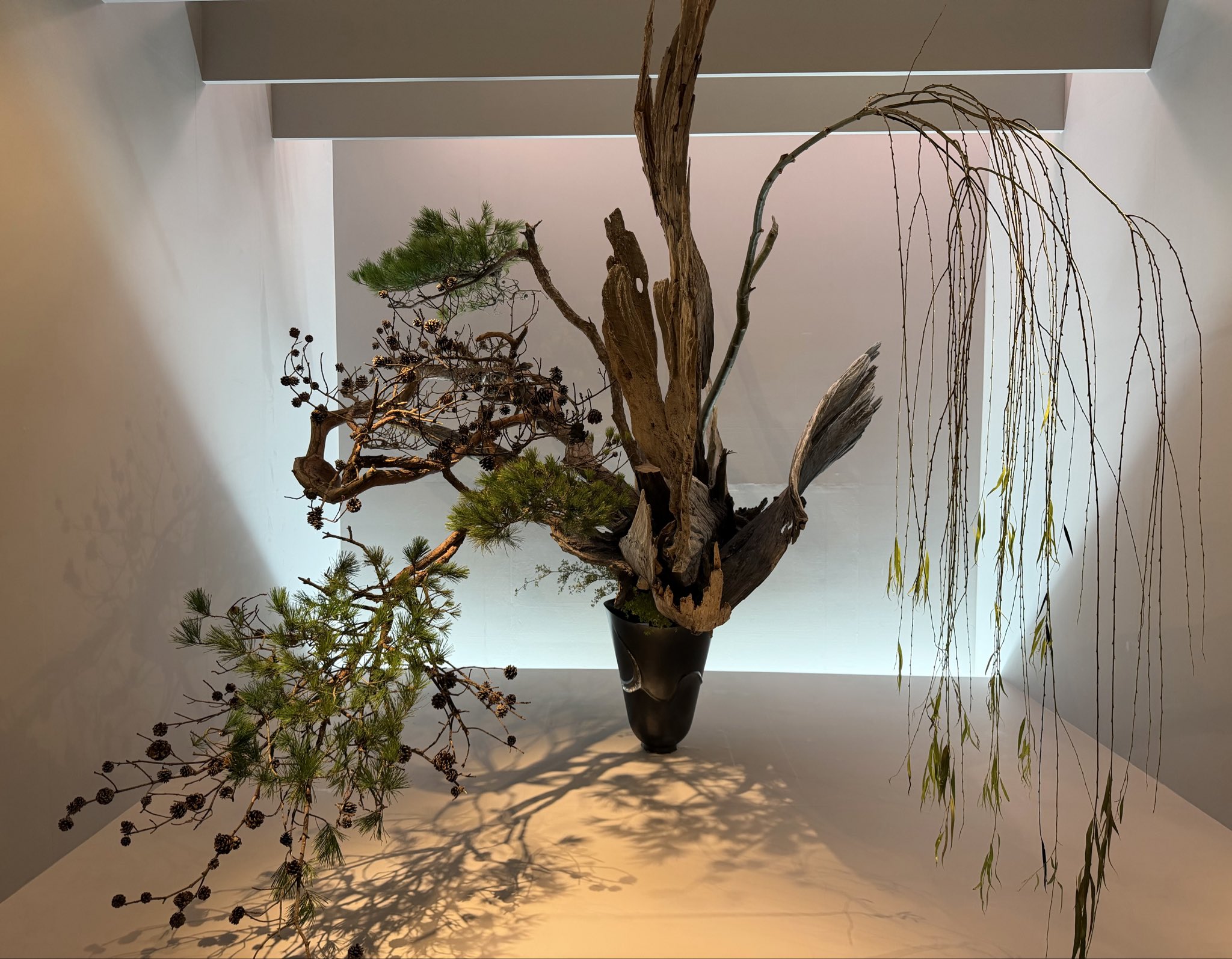 池坊・花展へ