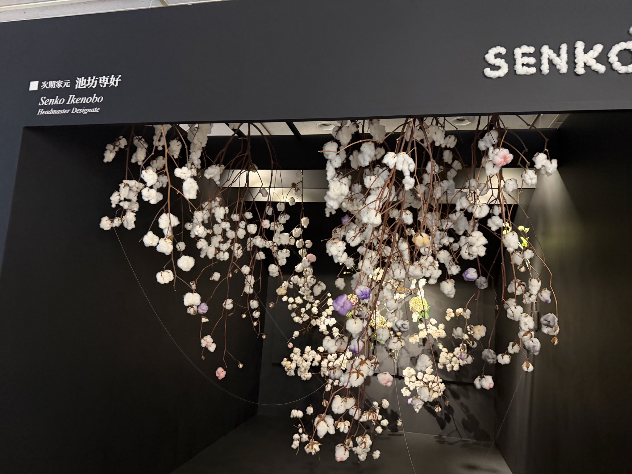 池坊・花展へ